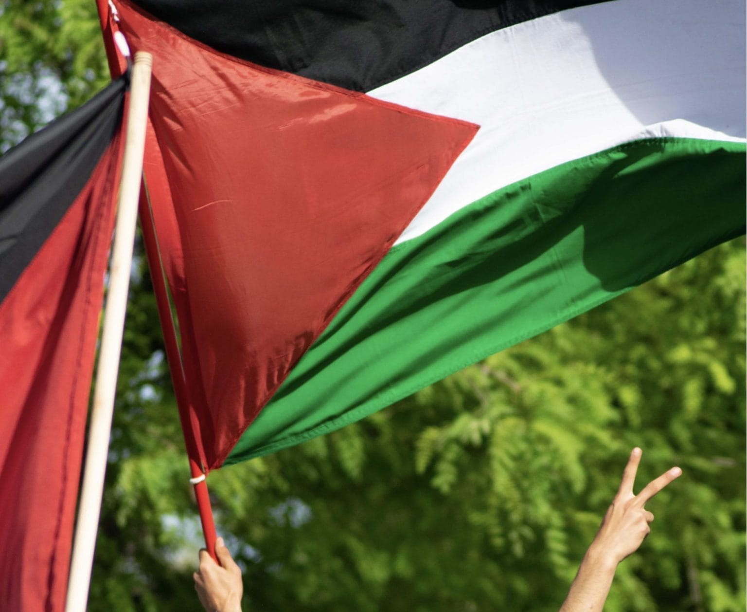 poll-have-college-campus-protests-backfired-sharyl-attkisson